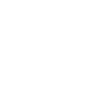 Scar Revision Icon