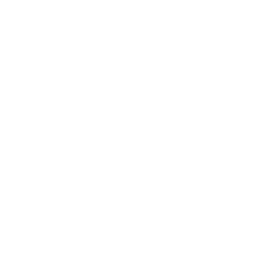 Gynaecomastia Icon
