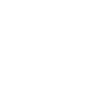 Fracture Icon